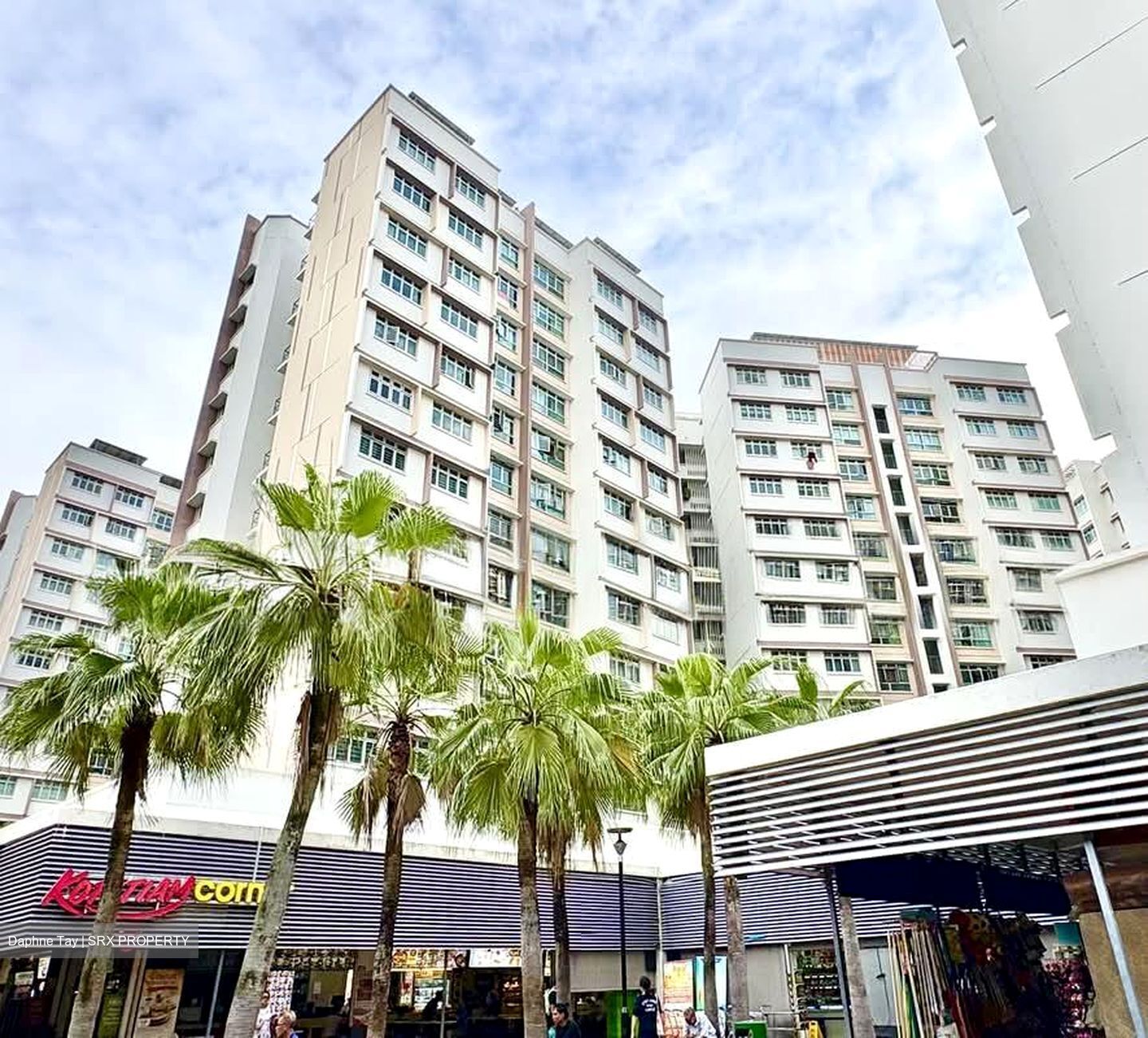Blk 527C Costa Ris (Pasir Ris), HDB 3 Rooms #586776791